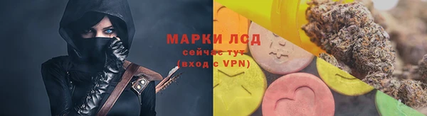 гидра Алексин