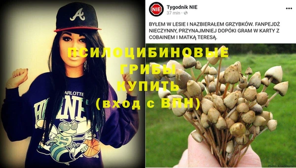 мескалин Алексеевка