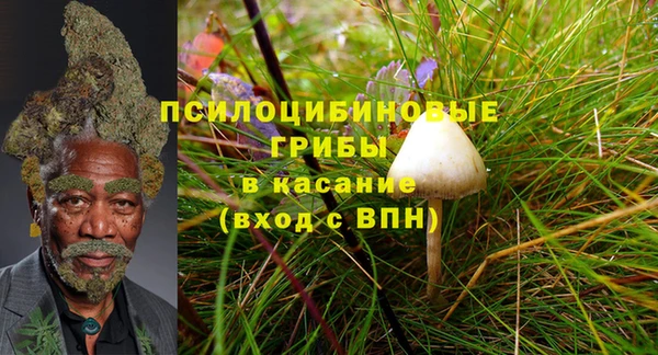 мескалин Алексеевка