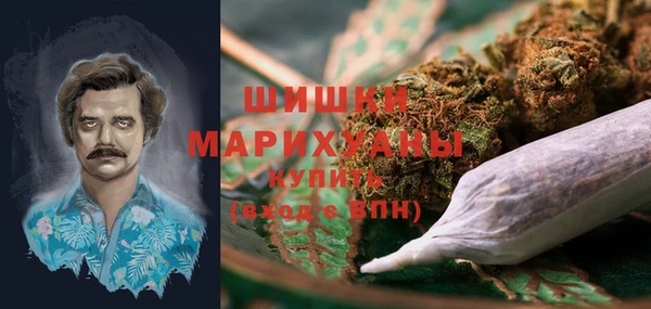 гидра Алексин
